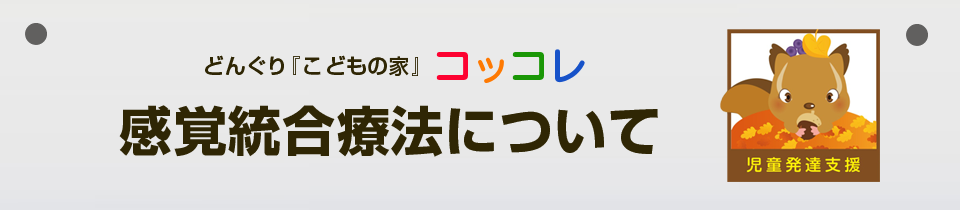 コッコレの感覚統合療法について